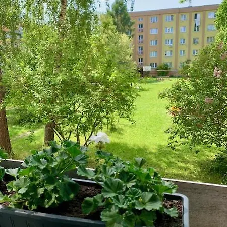 Snyt Primka * Olomouc